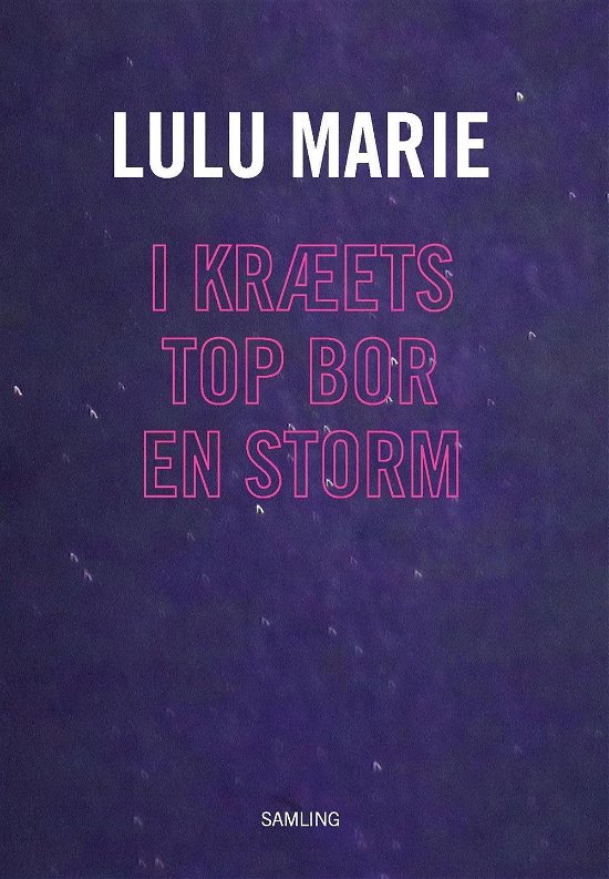 Cover for Lulu Marie · I kræets top bor en storm (Hæftet bog) (2016)