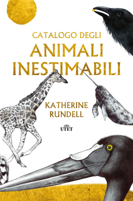 Cover for Katherine Rundell · Catalogo Degli Animali Inestimabili (Bok)