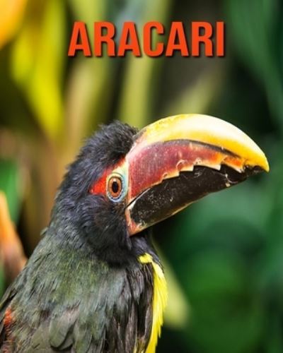 Aracari - William Doyle - Books - Independently Published - 9798693594463 - October 4, 2020