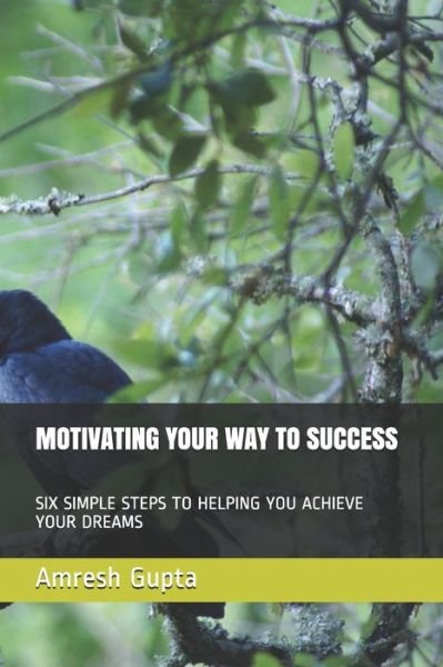 Cover for Amresh Shravan Gupta · Motivating Your Way to Success (Pocketbok) (2020)