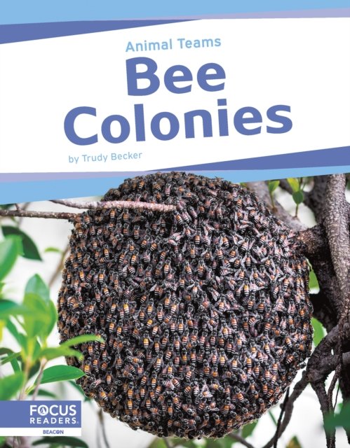 Cover for Trudy Becker · Bee Colonies - Animal Teams (Paperback Book) (2024)