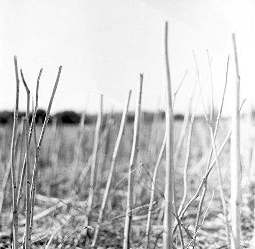 Cover for Recondite · On Acid (LP) [Reissue edition] (2015)