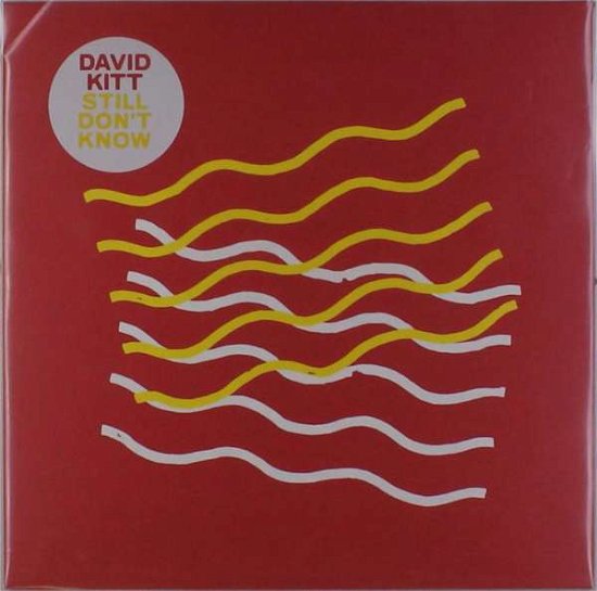 Cover for David Kitt · Still Don't Know (LP) (2018)