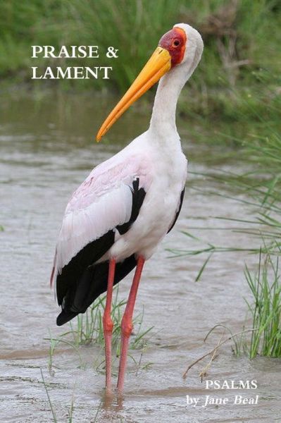 Cover for Jane Beal · PRAISE &amp; LAMENT : Psalms for the God of Birds (Paperback Book) (2019)