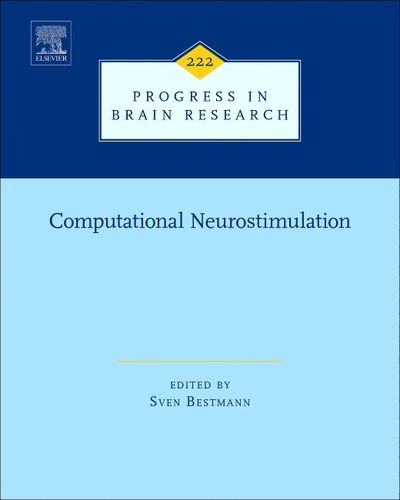 Cover for Computational Neurostimulation - Progress in Brain Research (Hardcover Book) (2015)