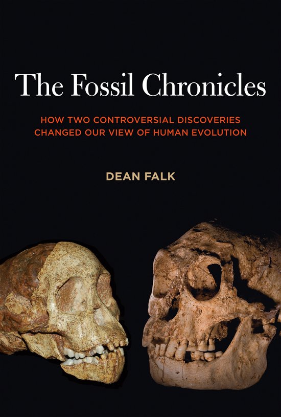 Cover for Dean Falk · The Fossil Chronicles: How Two Controversial Discoveries Changed Our View of Human Evolution (Taschenbuch) (2011)