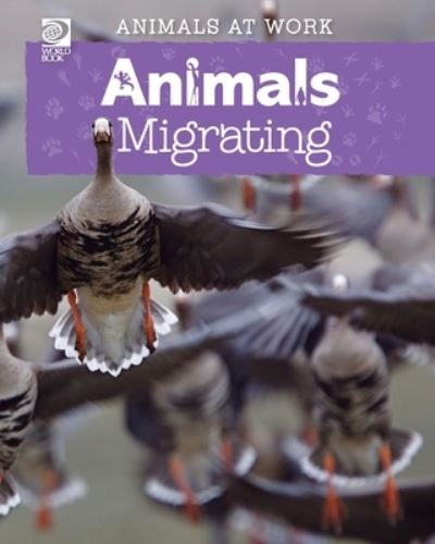 Animals Migrating - Alex Wolf - Książki - World Book - 9780716633464 - 24 września 2018