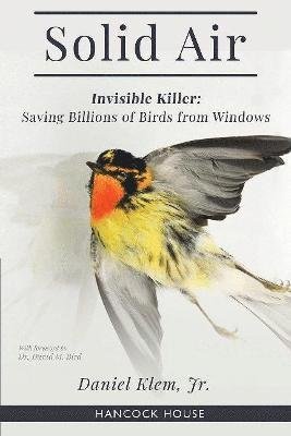 Daniel Klem Jr · Solid Air: Invisible Killer- Saving Birds from Windows (Paperback Book) (2021)