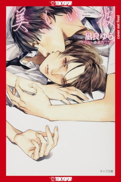 Cover for Yuu Nagira · My Beautiful Man (Light Novel), Volume 1 - My Beautiful Man (Light Novel) (Taschenbuch) (2024)