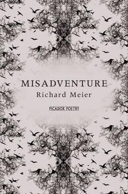 Cover for Richard Meier · Misadventure (Paperback Book) [Main Market Ed. edition] (2012)