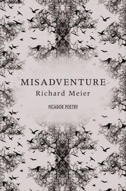 Misadventure - Richard Meier - Books - Pan Macmillan - 9781447208464 - March 29, 2012