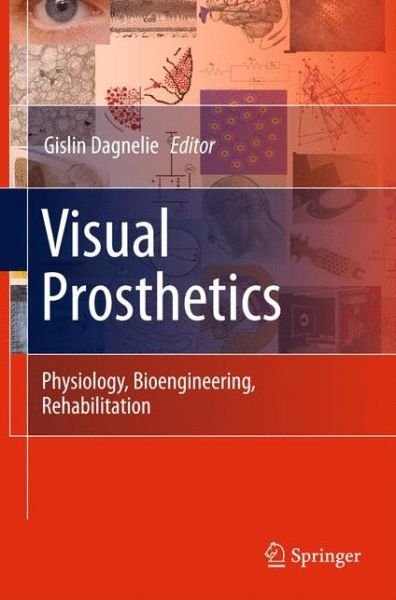 Cover for Gislin Dagnelie · Visual Prosthetics: Physiology, Bioengineering, Rehabilitation (Paperback Bog) [2011 edition] (2014)
