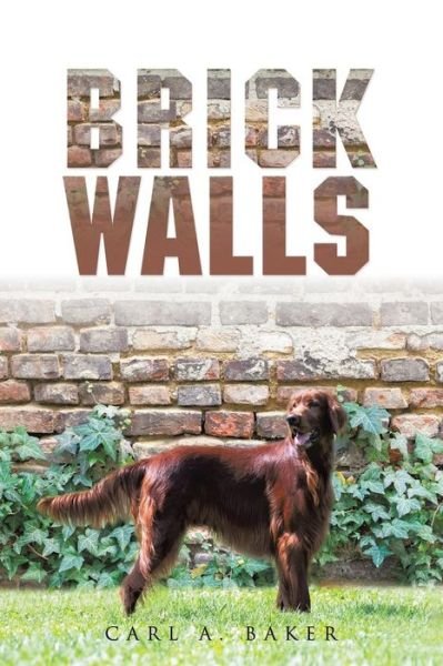 Carl A. Baker · Brick Walls (Pocketbok) (2015)