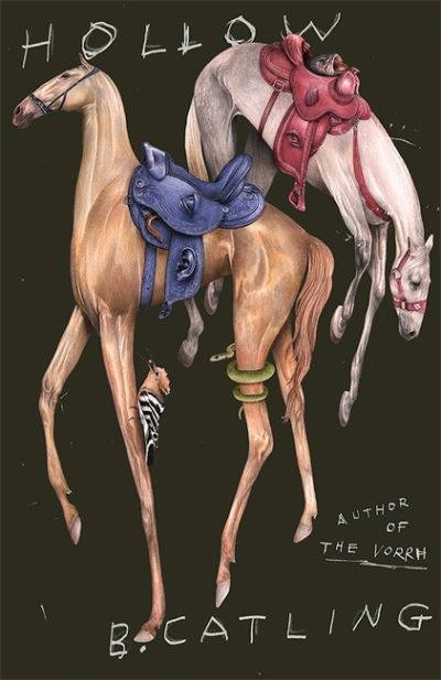 Cover for Brian Catling · Hollow (Paperback Book) (2022)