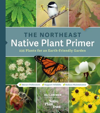 Cover for Uli Lorimer · The Northeast Native Plant Primer (Paperback Book) (2022)