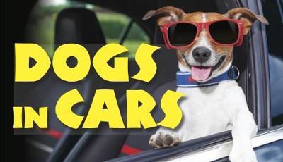 Cover for Jack Russell · Dogs in Cars (Hardcover Book) (2017)