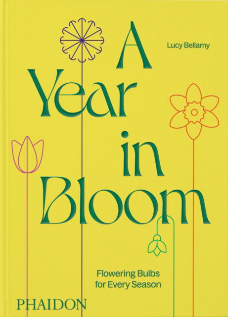 Cover for Lucy Bellamy · A Year in Bloom: Flowering Bulbs for Every Season (Hardcover Book) (2024)