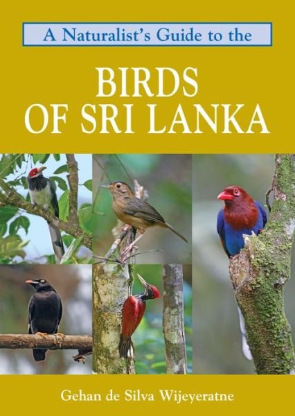 Cover for Gehan de Silva Wijeyeratne · Naturalist's Guide to the Birds of Sri Lanka (Pocketbok) (2015)