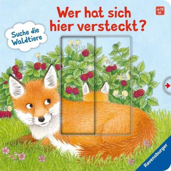 Grimm:wer Hat Sich Hier Versteckt? Such - Sandra Grimm - Boeken - Ravensburger Verlag GmbH - 9783473438464 - 