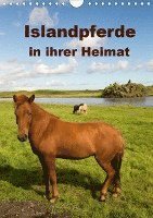 Cover for Rusch · Islandpferde in ihrer Heimat (Wan (Bog)