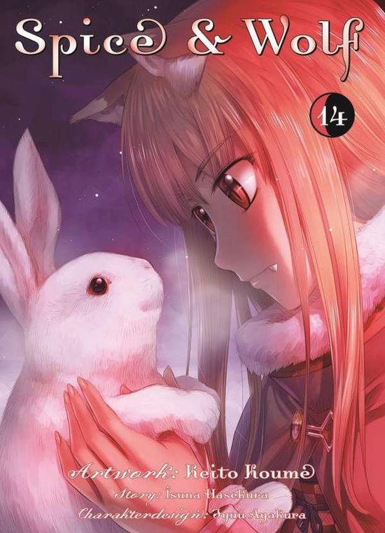 Cover for Hasekura · Spice &amp; Wolf.14 (Book)