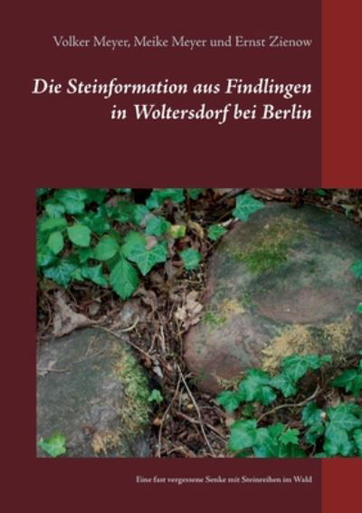 Cover for Meyer · Die Steinformation aus Findlingen (Book) (2021)