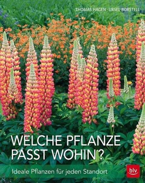 Cover for Hagen · Welche Pflanze passt wohin? (Book)