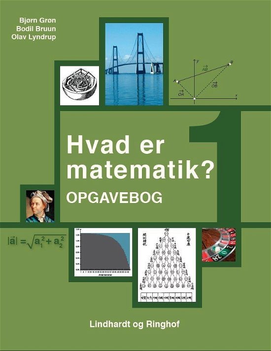 Cover for Bodil Bruun; Bjørn Grøn; Olav Lyndrup · Hvad er matematik: Hvad er matematik? 1, Opgavebog (Hæftet bog) [2. udgave] (2019)
