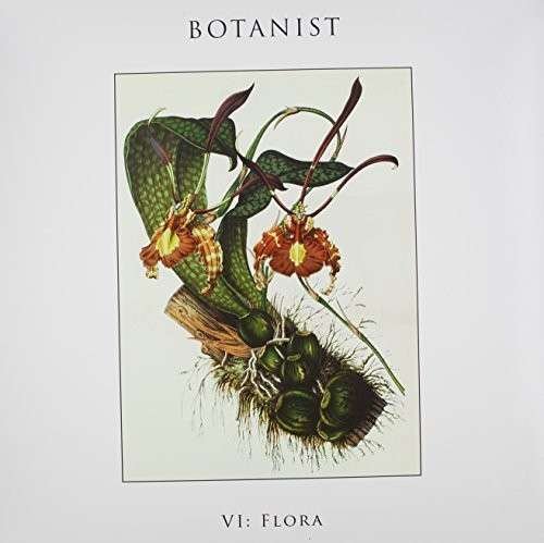 Cover for Botanist · Vi: Flora (LP) (2014)