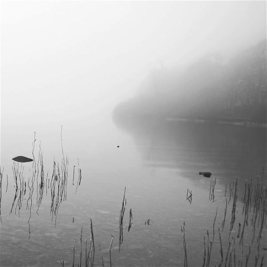 Cover for Dakota Suite · This River Only Brings Poison (LP) (2023)