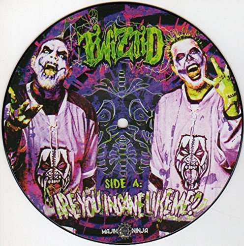 Are You Insane Like Me - Twiztid - Musiikki -  - 0881034188465 - torstai 24. marraskuuta 2016