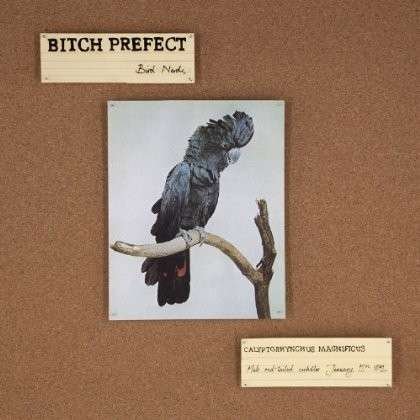 Cover for Bitch Prefect · Bird Nerds (CD) (2014)
