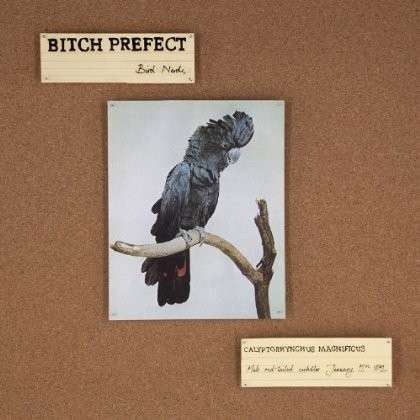 Cover for Bitch Prefect · Bird Nerds (CD) (2014)