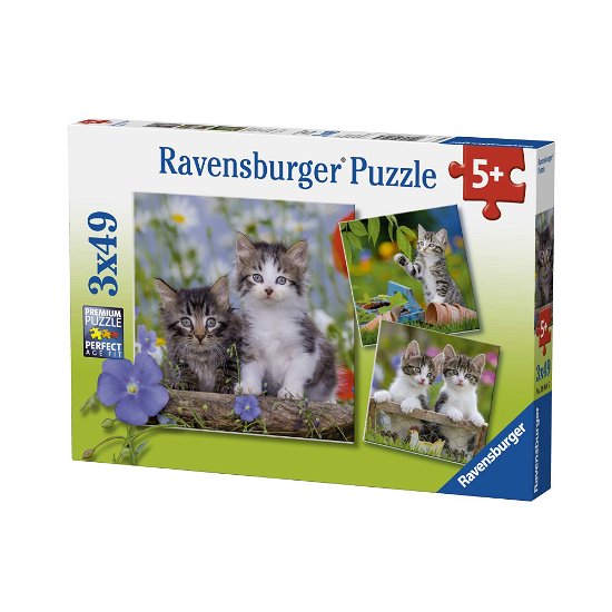 Puzzel Chatons tigres: 3x49 stukjes (080465) - Ravensburger - Fanituote - Ravensburger - 4005556080465 - tiistai 26. helmikuuta 2019