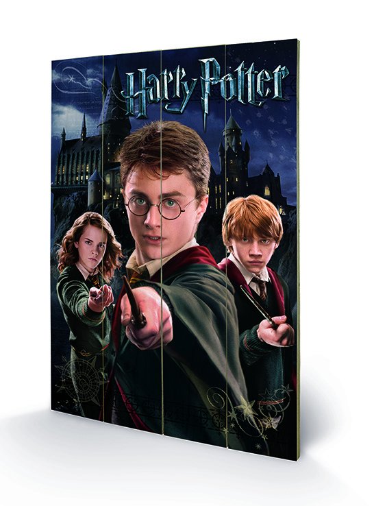 Cover for Wood Poster · HARRY POTTER - Wood Print 40X59 - Harry Ron &amp; Herm (MERCH) (2019)