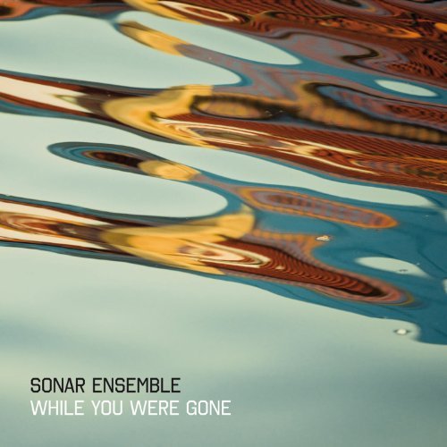 Cover for Sonar Ensemble · While you were gone (CD) (2010)