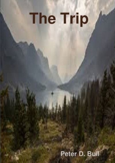 Cover for Peter D. Bull · Trip (Book) (2018)