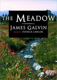 Cover for James Galvin · The Meadow: Library Edition (Audiobook (CD)) [Unabridged edition] (2003)