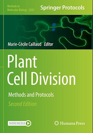 Plant Cell Division: Methods and Protocols - Methods in Molecular Biology - - Books - Springer-Verlag New York Inc. - 9781071617465 - October 29, 2022