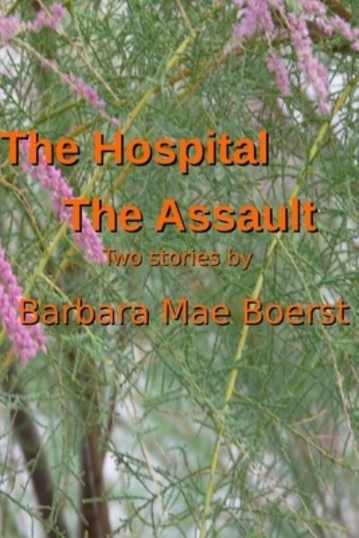 Cover for Barbara Mae Boerst · Hospital &amp; the Assault (Book) (2016)