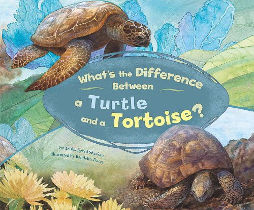 Cover for Trisha Speed Shaskan · What's the Difference Between a Turtle and a Tortoise? (Hardcover Book) (2010)