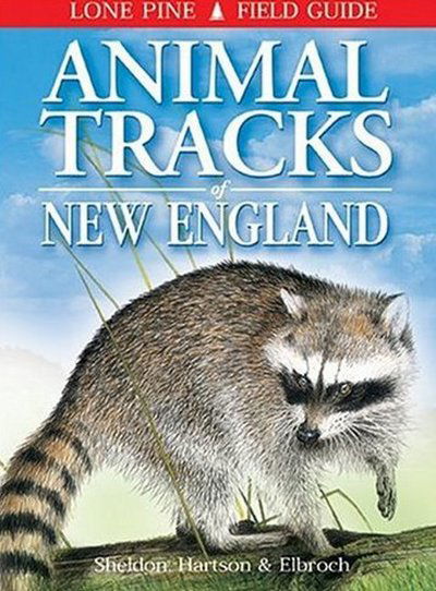 Cover for Ian Sheldon · Animal Tracks of New England (Paperback Book) (2000)