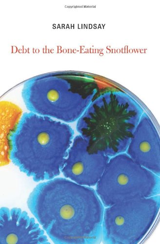 Cover for Sarah Lindsay · Debt to the Bone-Eating Snotflower (Paperback Book) (2014)