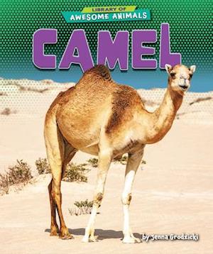 Cover for Jenna Grodzicki · Camel (Hardcover Book) (2021)