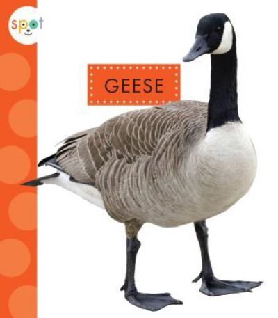 Cover for Mari C Schuh · Geese (Hardcover Book) (2019)