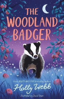 Cover for Holly Webb · The Woodland Badger - Summer Wildlife Stories (Paperback Book) (2025)