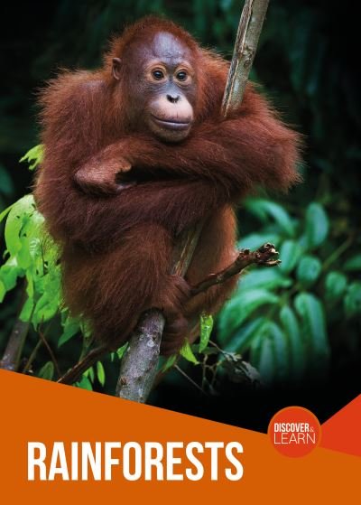 Rainforests - Discover and Learn - Joanna Brundle - Libros - BookLife Publishing - 9781839271465 - 1 de julio de 2021
