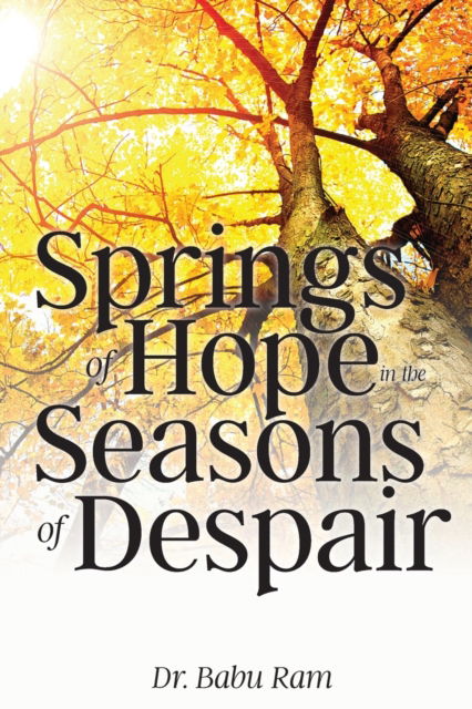 Cover for Babu Ram · Springs of Hope in the Seasons of Despair (Paperback Book) (2021)