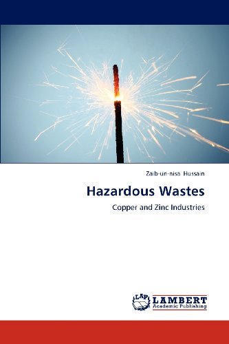 Cover for Zaib-un-nisa Hussain · Hazardous Wastes: Copper and Zinc Industries (Taschenbuch) (2012)