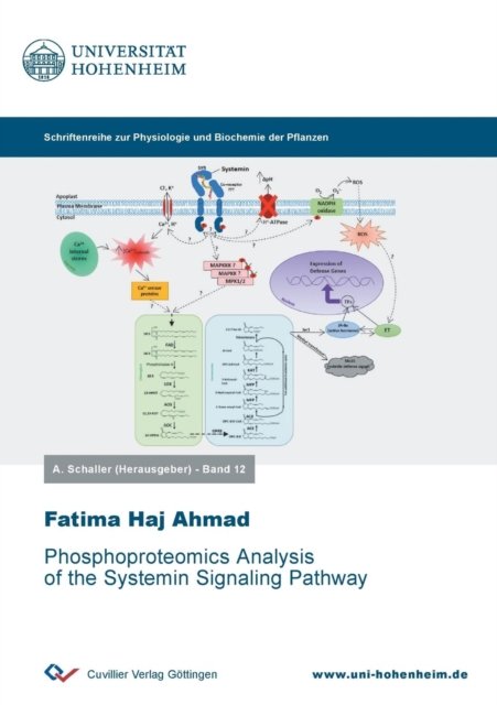 Cover for Fatima Haj Ahmad · Phosphoproteomics Analysis of the Systemin Signaling Pathway (Paperback Book) (2019)